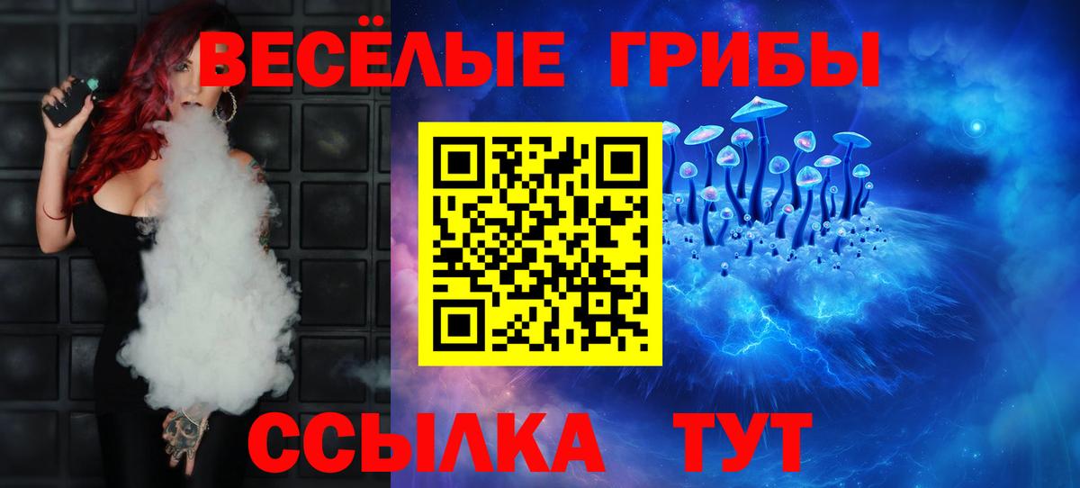 Псилоцибиновые грибы GOLDEN TEACHER Изобильный