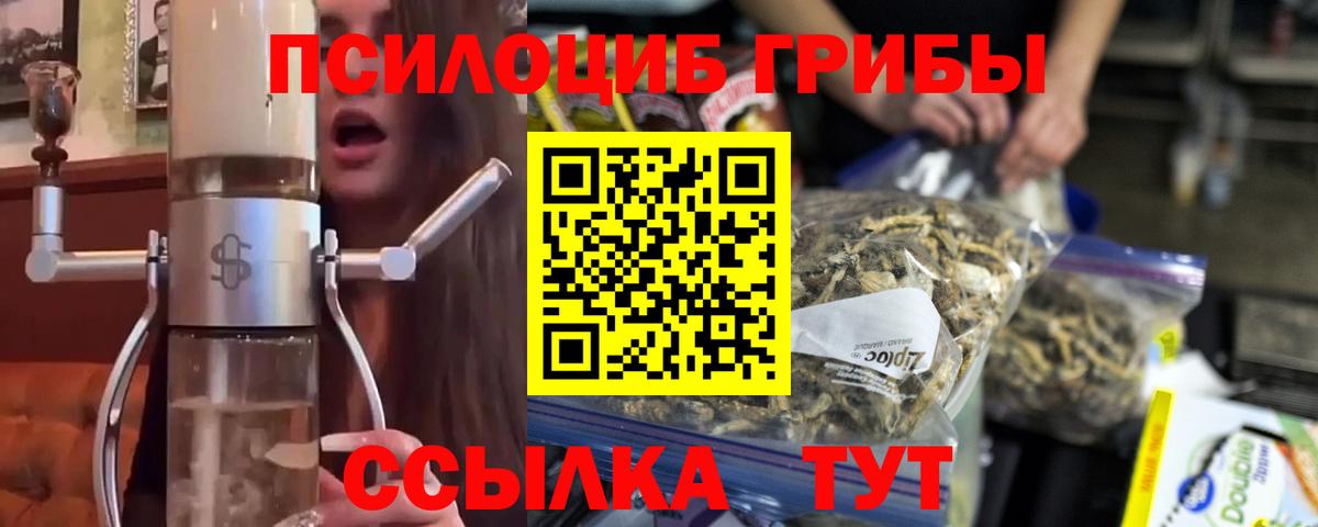 Галлюциногенные грибы GOLDEN TEACHER  Псилоцибиновые грибы Cubensis  Вход с VPN  Изобильный 